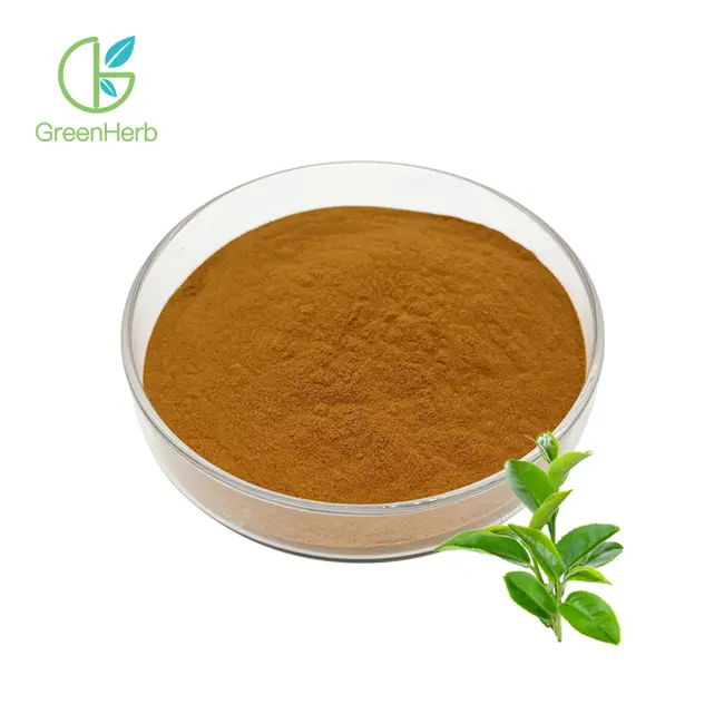 Green Tea Extract Powder